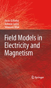 Field Models in Electricity and Magnetism