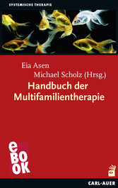 Handbuch der Multifamilientherapie