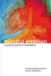 Mindful Emotion (enhanced)