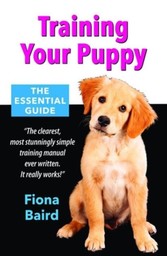 Training Your Puppy