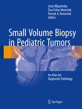 Small Volume Biopsy in Pediatric Tumors