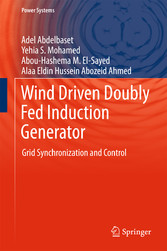 Wind Driven Doubly Fed Induction Generator