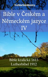 Bible v Ceském a Nemeckém jazyce IV