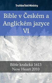 Bible v Ceském a Anglickém jazyce VI