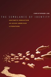 Semblance of Identity