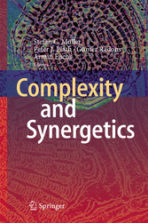 Complexity and Synergetics