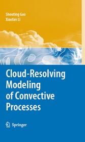 Cloud-Resolving Modeling of Convective Processes