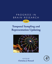 Temporal Sampling and Representation Updating