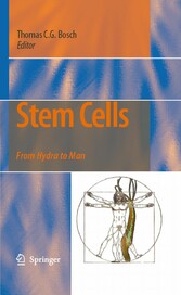 Stem Cells