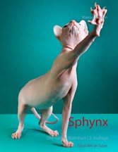 Sphynx