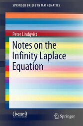 Notes on the Infinity Laplace Equation