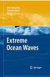 Extreme Ocean Waves