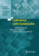 Liderança com Synercube