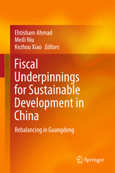 Fiscal Underpinnings for Sustainable Development in China