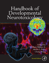 Handbook of Developmental Neurotoxicology