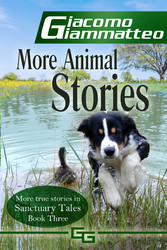 More Animal Stories