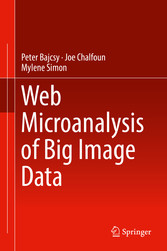 Web Microanalysis of Big Image Data