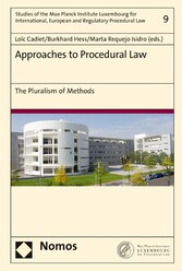 Approaches to Procedural Law