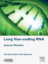 Long Non-coding RNA