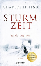 Sturmzeit - Wilde Lupinen