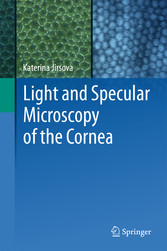 Light and Specular Microscopy of the Cornea