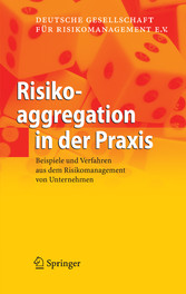 Risikoaggregation in der Praxis