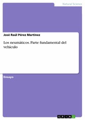 Los neumáticos. Parte fundamental del vehículo