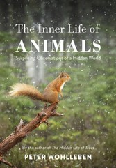 Inner Life of Animals