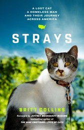 Strays