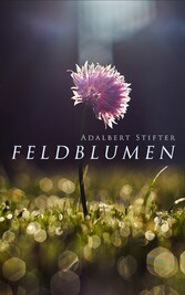 Feldblumen