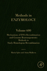 Mechanisms of DNA Recombination and Genome Rearrangements: Methods to Study Homologous Recombination