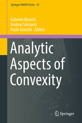 Analytic Aspects of Convexity