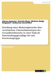 Erstellung eines Marketingberichts über verschiedene Unternehmenstypen der Gesundheitsbranche in einer Stadt als Entscheidungsgrundlage für eine Investorengruppe