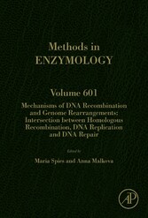 Mechanisms of DNA Recombination and Genome Rearrangements: Intersection Between Homologous Recombination, DNA Replication and DNA Repair