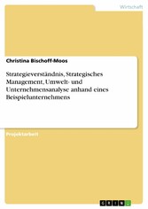 Strategieverständnis, Strategisches Management, Umwelt- und Unternehmensanalyse anhand eines Beispielunternehmens