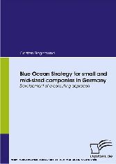 Blue Ocean Strategy for small and mid-sized companies in Germany