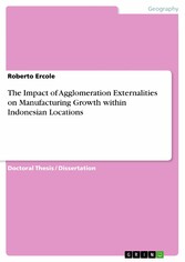 The Impact of Agglomeration Externalities on Manufacturing Growth within Indonesian Locations