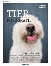 Fotoschule Extra Tierfotografie