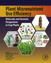 Plant Micronutrient Use Efficiency