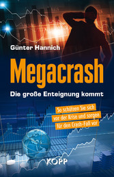 Megacrash - Die große Enteignung kommt