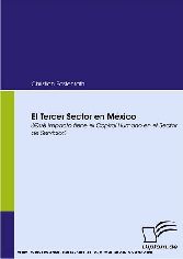 El Tercer Sector en México. ¿Qué impacto tiene el Capital Humano en el Sector de Servicios?