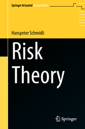 Risk Theory