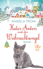 Kater Anton und der Weihnachtsengel