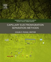 Capillary Electromigration Separation Methods