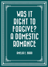 Was It Right to Forgive? A Domestic Romance