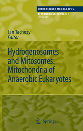 Hydrogenosomes and Mitosomes: Mitochondria of Anaerobic Eukaryotes