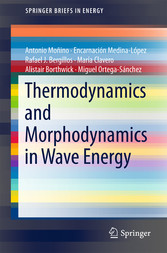 Thermodynamics and Morphodynamics in Wave Energy