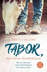 Tabor, die kleine Straßenkatze