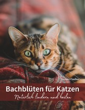 Bachblüten für Katzen