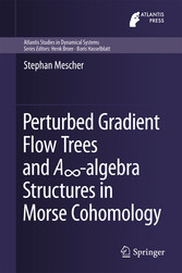 Perturbed Gradient Flow Trees and A?-algebra Structures in Morse Cohomology